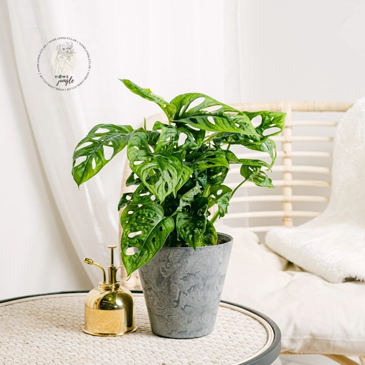 Monstera Monkey Mask - obrazek 3