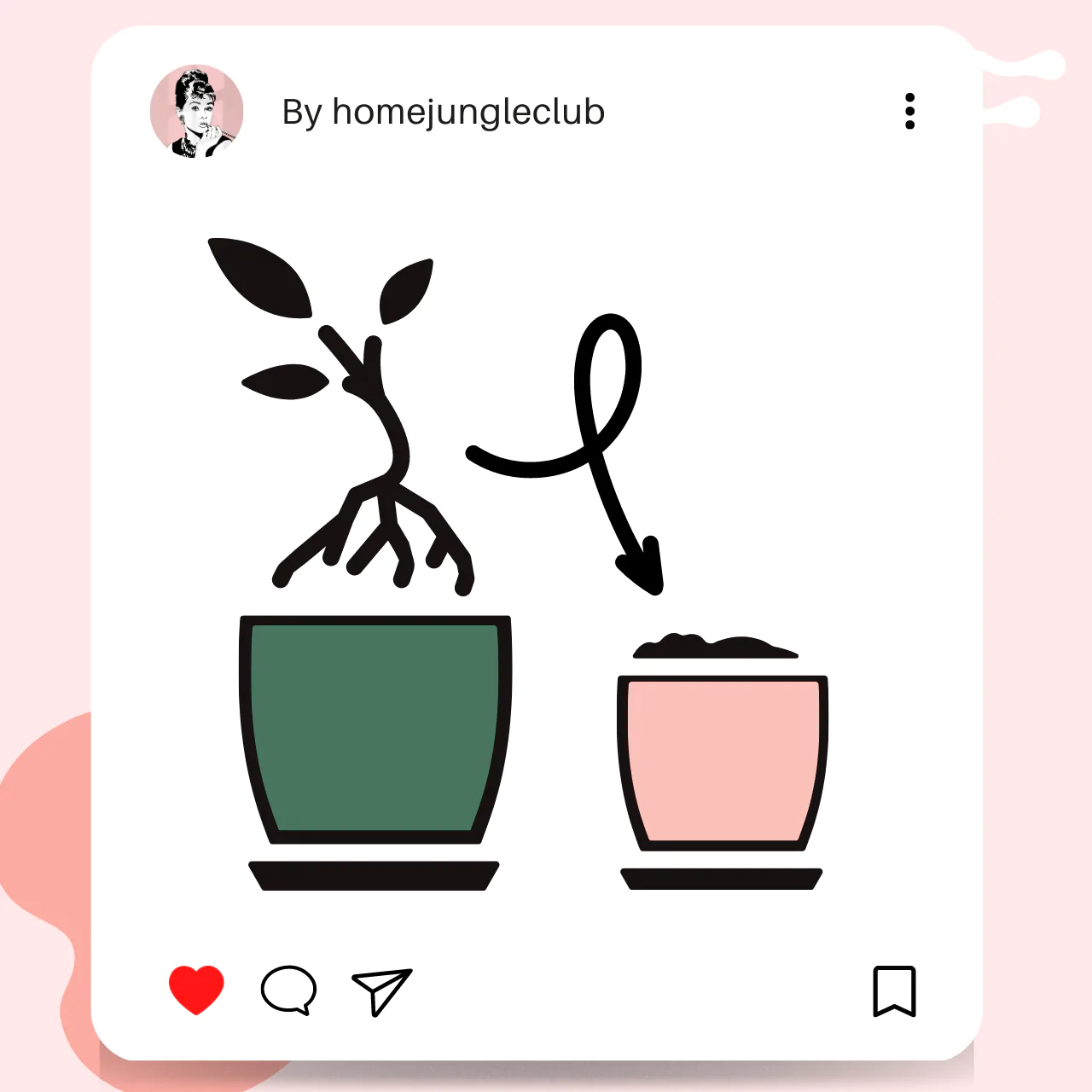 Przesadzenie rośliny